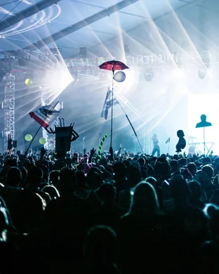 Shrek Rave