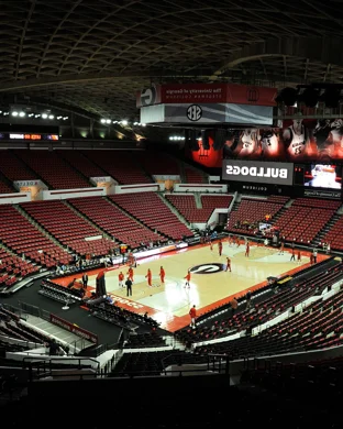 Dallas Wings vs. Phoenix Mercury