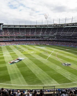 Major League Cricket: Texas Super Kings vs. Washington Freedom & Seattle Orcas vs. San Francisco Unicorns